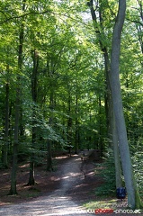 Ścieżka przyrodniczo-leśna